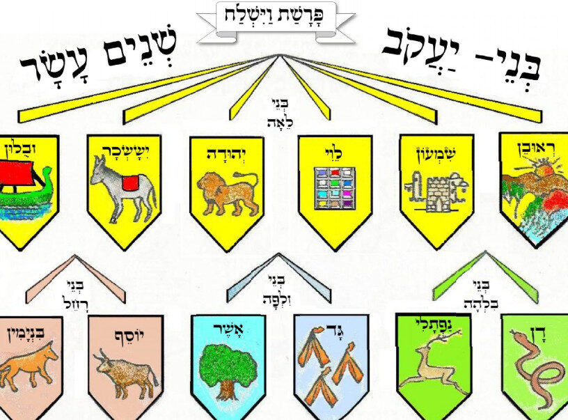 שנים עשר השבטים צבעוני + לצביעה - וישלח - חנוך - בית לאנשי החינוך