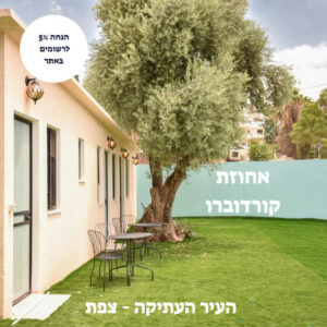 צילום מסך 2025-12-08 174756